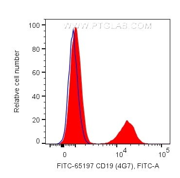 Flow cytometry (FC) experiment of human PBMCs using FITC Plus Anti-Human CD19 (4G7) (FITC-65197)