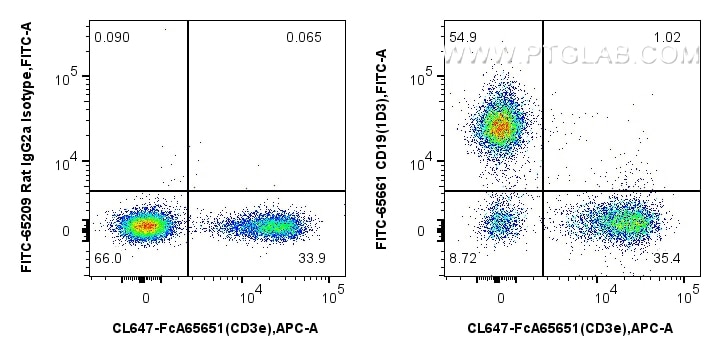 Flow cytometry (FC) experiment of mouse splenocytes using FITC Plus Anti-Mouse CD19 (1D3) Rat Recombinant An (FITC-65661)