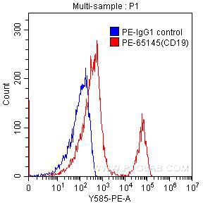 Flow cytometry (FC) experiment of human peripheral blood lymphocytes using PE Anti-Human CD19 (SJ25C1) (PE-65145)