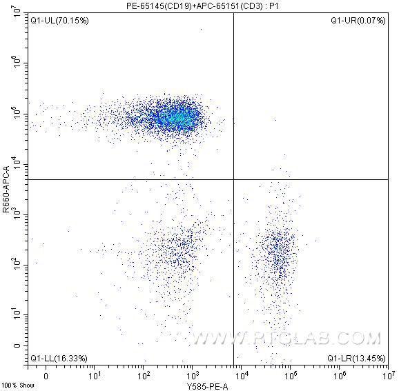 Flow cytometry (FC) experiment of human peripheral blood lymphocytes using PE Anti-Human CD19 (SJ25C1) (PE-65145)