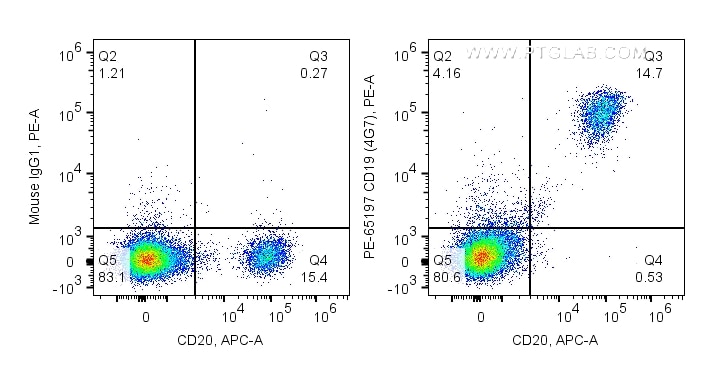Flow cytometry (FC) experiment of human PBMCs using PE Anti-Human CD19 (4G7) (PE-65197)