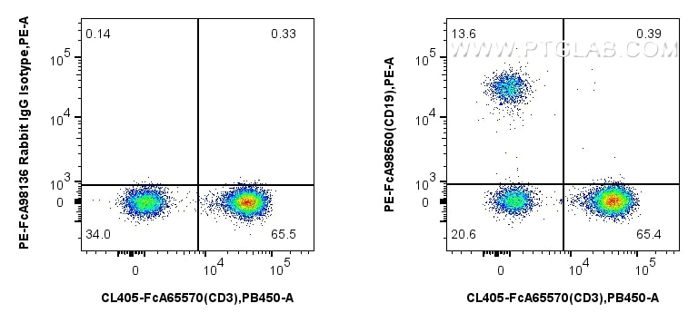 Flow cytometry (FC) experiment of human PBMCs using FcZero-rAb® PE Anti-Human CD19 Rabbit Recombinant  (PE-FcA98560)