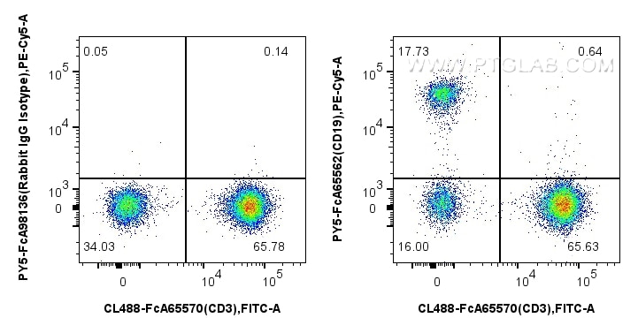 1x10^6 human PBMCs were surface stained with FcZero-rAb™ CoraLite® Plus 488 Anti-Human CD3 (UCHT1), and 5 ul PE-Cyanine5 Anti-Human CD19 (4G7) Rabbit RecAb (PY5-FcA65562, Clone: 4G7) or FcZero-rAb™ PE-Cyanine5 Rabbit IgG Isotype Control Recombinant Antibody (PY5-FcA98136, Clone: 240953C9). Cells were not fixed. Lymphocytes were gated. Flow cytometry (FC) experiment of human PBMCs using FcZero-rAb® PE-Cyanine5 Anti-Human CD19 (4G7) Rabb (PY5-FcA65562)