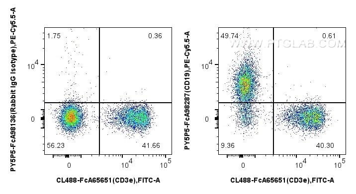FC experiment of mouse splenocytes using PY5P5-FcA98287 Flow cytometry (FC) experiment of mouse splenocytes using FcZero-rAb® PE-Cyanine5.5 Anti-Mouse CD19 Rabbit R (PY5P5-FcA98287)