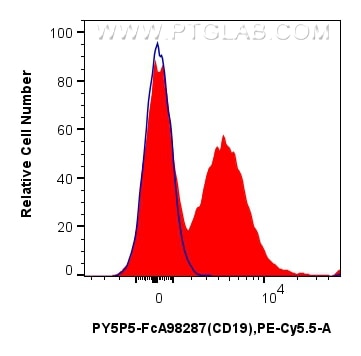 FC experiment of mouse splenocytes using PY5P5-FcA98287 Flow cytometry (FC) experiment of mouse splenocytes using FcZero-rAb® PE-Cyanine5.5 Anti-Mouse CD19 Rabbit R (PY5P5-FcA98287)