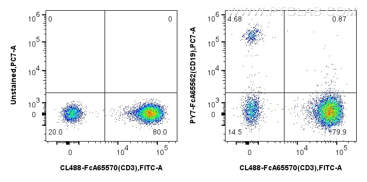 Flow cytometry (FC) experiment of human PBMCs using FcZero-rAb™ PE-Cyanine7 Anti-Human CD19 (4G7) Rabb (PY7-FcA65562)