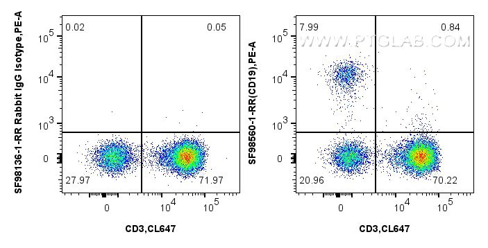 CD19 antibody (SF98560-1-RR) | Proteintech