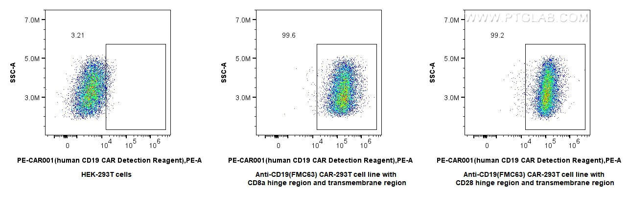1x10^6 HEK-293T cells or anti-CD19(FMC63) CAR pool with  CD28 or CD8 hinge region and transmembrane region transfected HEK-293T cells were surface stained with 0.1 ug  PE CD19 Recombinant Antibody (PE-CAR001, Clone:CAR001). Cells were not fixed.