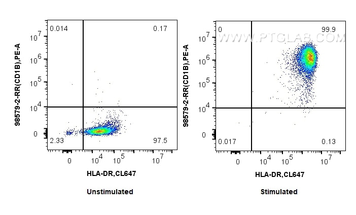 Flow cytometry (FC) experiment of human monocyte-derived mature dendritic cells using Anti-Human CD1b Rabbit Recombinant Antibody (98579-2-RR)