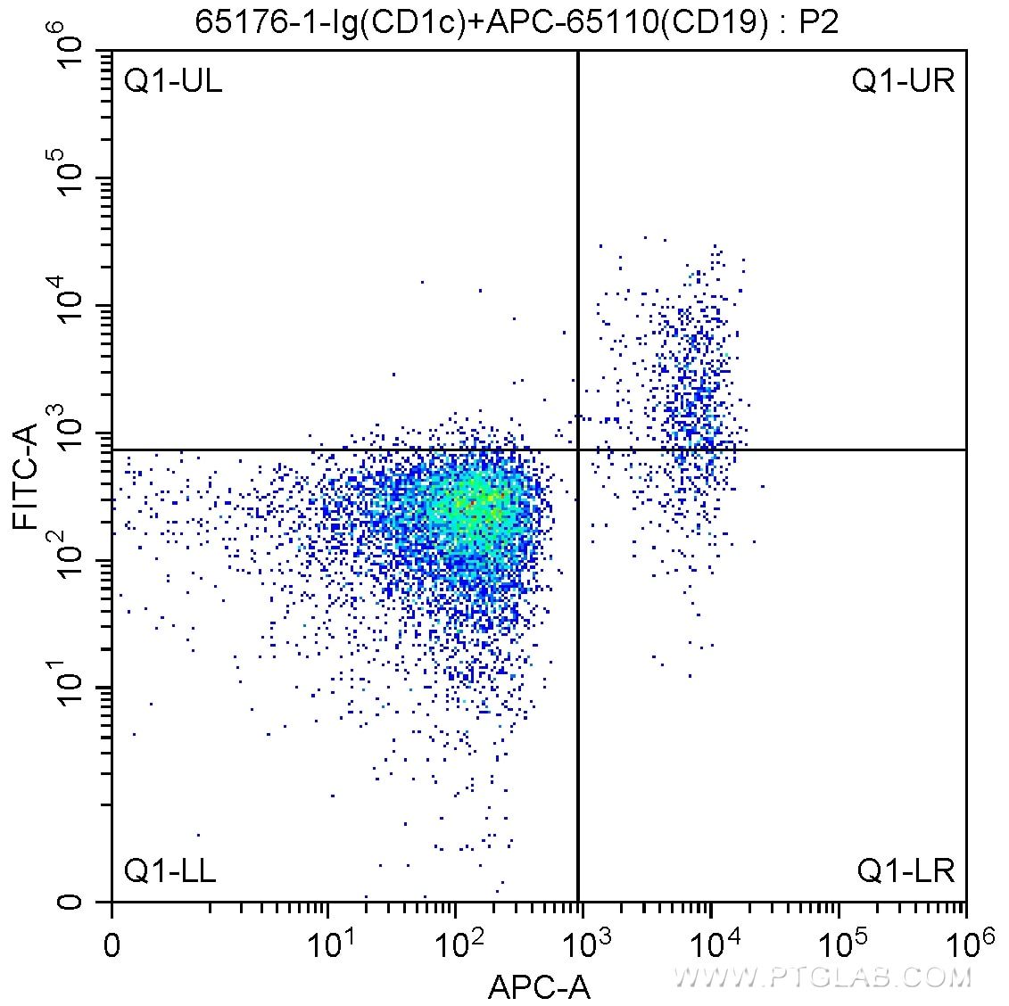 Flow cytometry (FC) experiment of human peripheral blood lymphocytes using Anti-Human CD1c (L161) (65176-1-Ig)