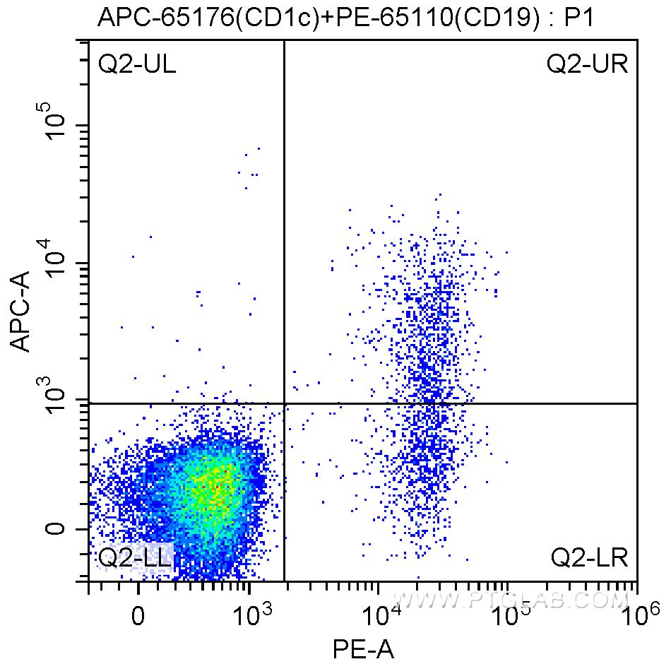 Flow cytometry (FC) experiment of human peripheral blood lymphocytes using APC Anti-Human CD1c (L161) (APC-65176)