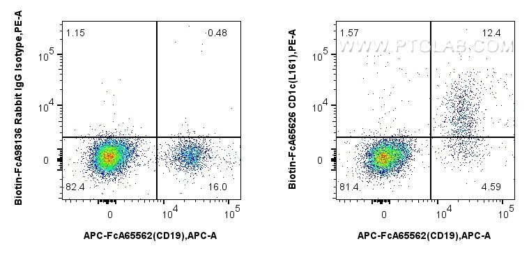 FC experiment of human peripheral blood lymphocytes using Biotin-FcA65626 Flow cytometry (FC) experiment of human peripheral blood lymphocytes using FcZero-rAb™ Biotin Anti-Human CD1c (L161) Rabbit I (Biotin-FcA65626)
