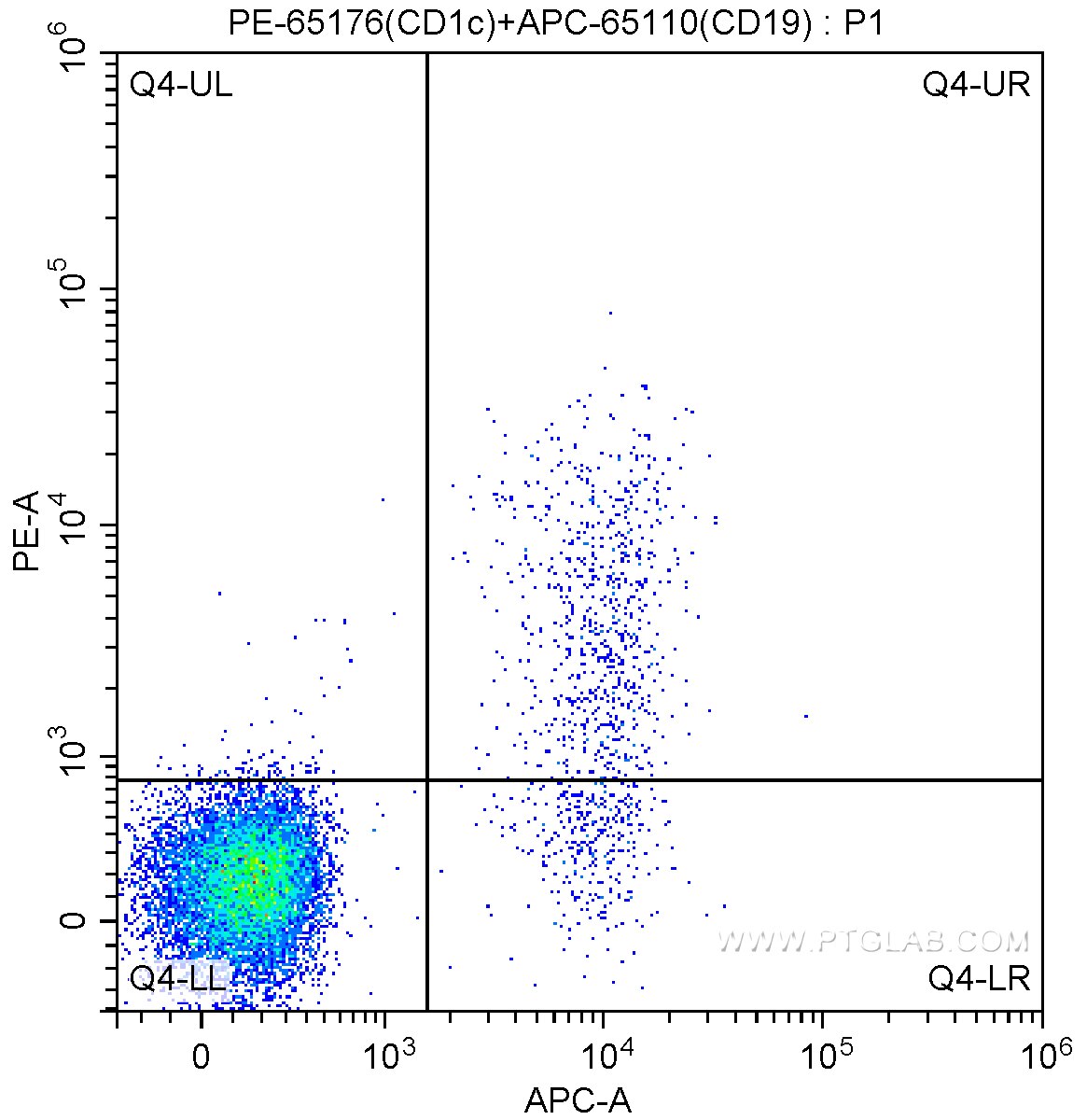 Flow cytometry (FC) experiment of human peripheral blood lymphocytes using PE Anti-Human CD1c (L161) (PE-65176)