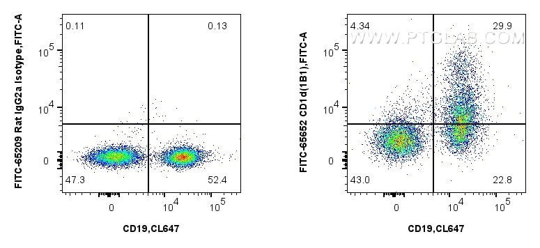 FC experiment of mouse splenocytes using FITC-65652 Flow cytometry (FC) experiment of mouse splenocytes using FITC Plus Anti-Mouse CD1d (1B1) Rat Recombinant An (FITC-65652)
