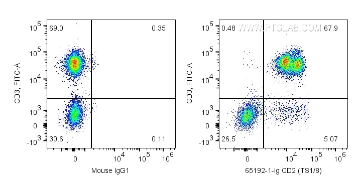 FC experiment of human PBMCs using 65192-1-Ig