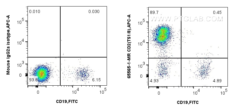 Flow cytometry (FC) experiment of human PBMCs using Anti-Human CD2 (TS1/8) Mouse Recombinant Antibody (65565-1-MR)