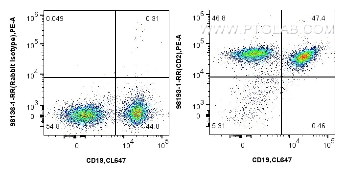 Flow cytometry (FC) experiment of mouse splenocytes using Anti-Mouse CD2 Rabbit Recombinant Antibody (98193-1-RR)