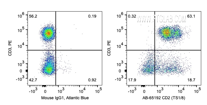 Flow cytometry (FC) experiment of human PBMCs using Atlantic Blue™ Anti-Human CD2 (TS1/8) (AB-65192)