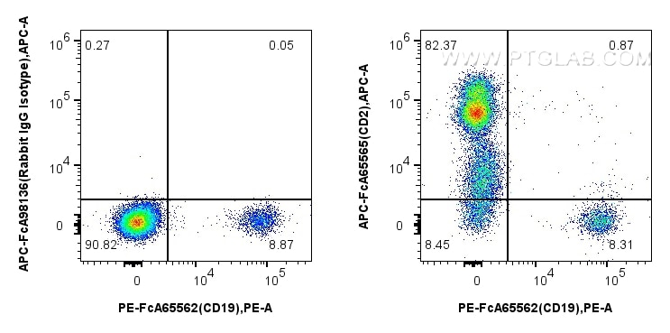 Flow cytometry (FC) experiment of human PBMCs using FcZero-rAb™ APC Anti-Human  CD2 (TS1/8) Rabbit IgG (APC-FcA65565)