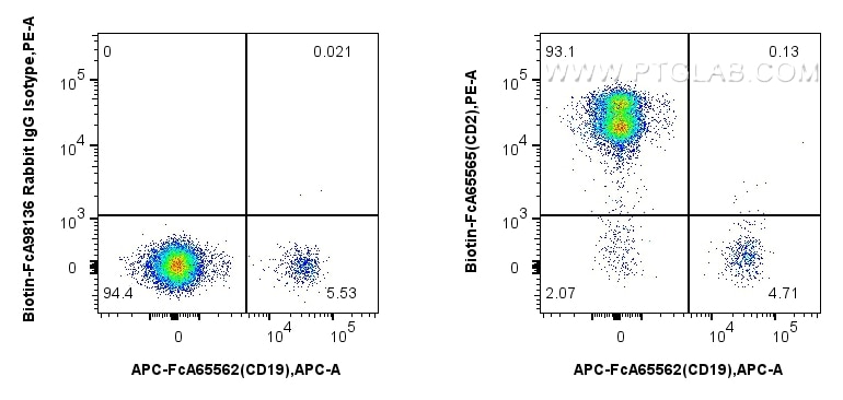 Flow cytometry (FC) experiment of human PBMCs using FcZero-rAb™ Biotin Anti-Human CD2 (TS1/8) Rabbit R (Biotin-FcA65565)