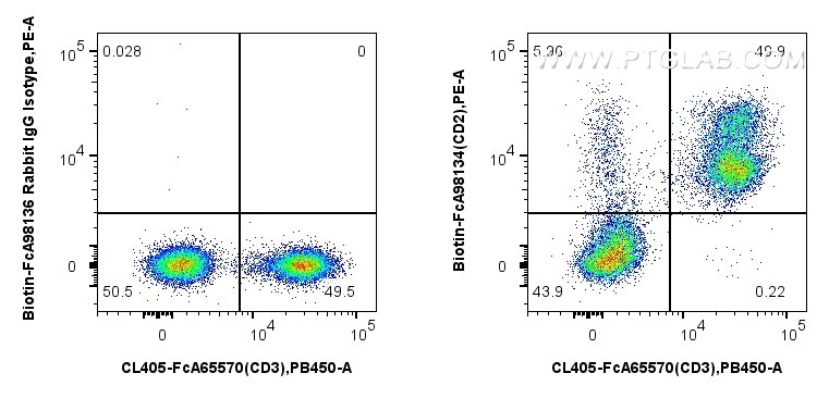 FC experiment of human PBMCs using Biotin-FcA98134 Flow cytometry (FC) experiment of human PBMCs using FcZero-rAb® Biotin Anti-Human CD2 Rabbit Recombina (Biotin-FcA98134)