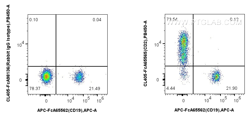 Flow cytometry (FC) experiment of human PBMCs using FcZero-rAb® CoraLite® Plus 405 Anti-Human CD2 (TS1 (CL405-FcA65565)