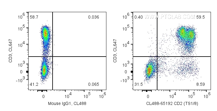 Flow cytometry (FC) experiment of human PBMCs using CoraLite® Plus 488 Anti-Human CD2 (TS1/8) (CL488-65192)