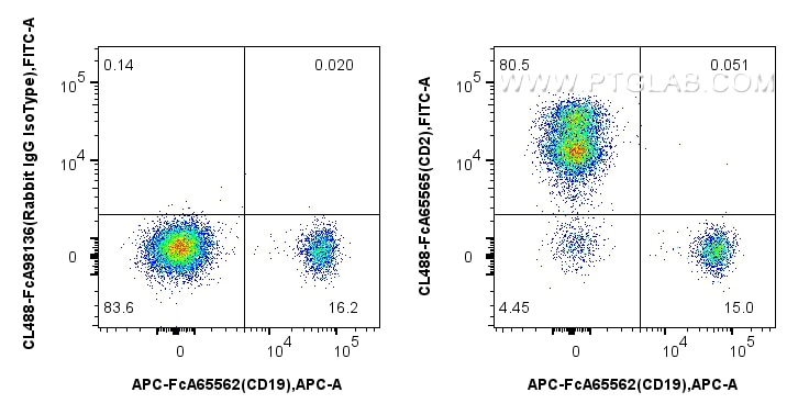 Flow cytometry (FC) experiment of human PBMCs using FcZero-rAb™ CoraLite® Plus 488 Anti-Human  CD2 (TS (CL488-FcA65565)