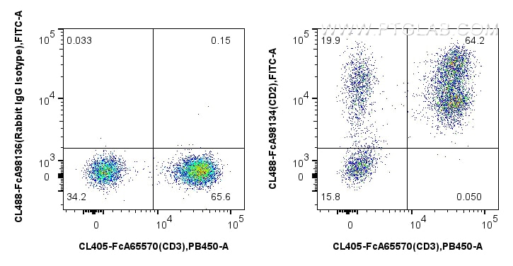 FC experiment of human PBMCs using CL488-FcA98134 Flow cytometry (FC) experiment of human PBMCs using FcZero-rAb® CoraLite® Plus 488 Anti-Human CD2 Rabb (CL488-FcA98134)