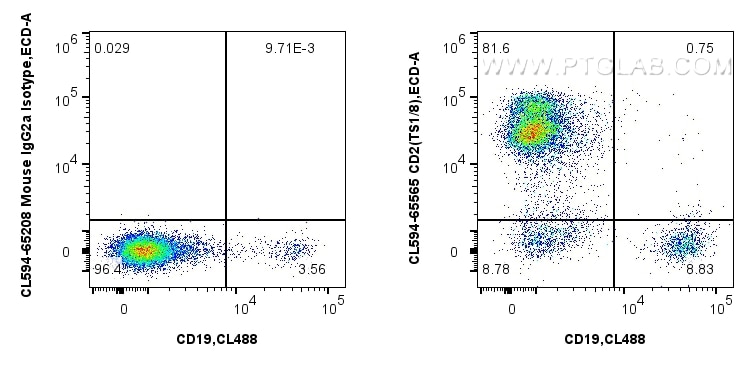 1x10^6 human PBMCs were surface stained with CoraLite® Plus 488 Anti-Human CD19, and 5 ul CoraLite®594 Anti-Human CD2 (TS1/8) Mouse IgG2a RecAb (CL594-65565, Clone: TS1/8) or CoraLite®594 Mouse IgG2a Isotype Control (C1.18.4) (CL594-65208, Clone: C1.18.4). Cells were not fixed. Lymphocytes were gated. Flow cytometry (FC) experiment of human PBMCs using CoraLite®594 Anti-Human CD2 (TS1/8) Mouse IgG2a Re (CL594-65565)