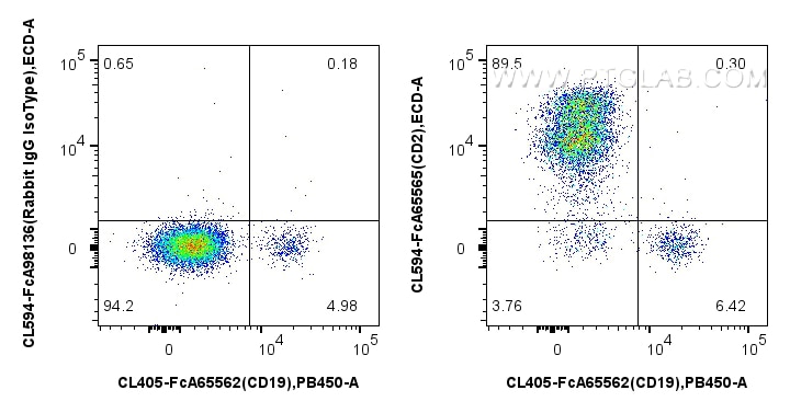 Flow cytometry (FC) experiment of human PBMCs using FcZero-rAb® CoraLite® Plus 594 Anti-Human CD2 (TS1 (CL594-FcA65565)