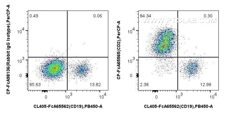 Flow cytometry (FC) experiment of human PBMCs using FcZero-rAb® PerCP Anti-Human CD2 (TS1/8) Rabbit Re (CP-FcA65565)