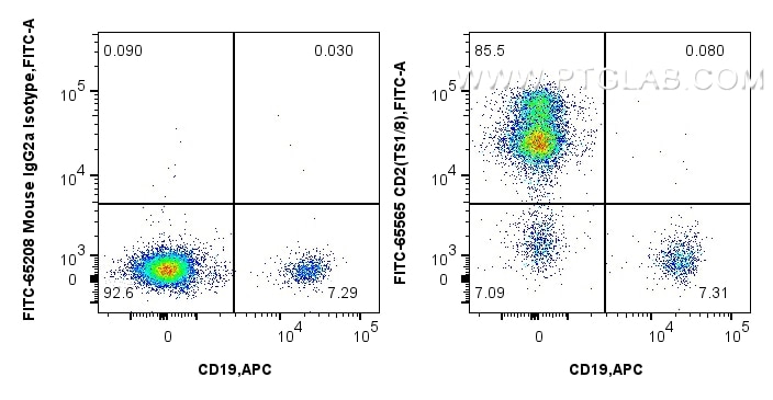 1x10^6 human PBMCs were surface stained with FcZero-rAb™ APC Anti-Human CD19, and 5 ul FITC Plus Anti-Human CD2 (TS1/8) Mouse IgG2a RecAb (FITC-65565, Clone: TS1/8) or FITC Plus Mouse IgG2a Isotype Control (C1.18.4) (FITC-65208, Clone: C1.18.4). Cells were not fixed. Flow cytometry (FC) experiment of human PBMCs using FITC Plus Anti-Human CD2 (TS1/8) Mouse IgG2a Recom (FITC-65565)