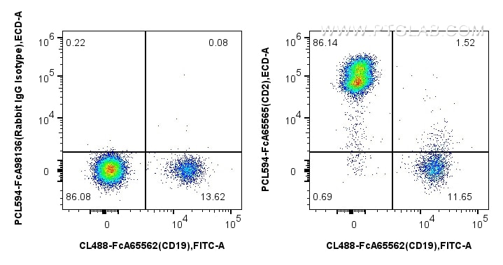 Flow cytometry (FC) experiment of human PBMCs using FcZero-rAb® PE-CoraLite® Plus 594 Anti-Human CD2 ( (PCL594-FcA65565)