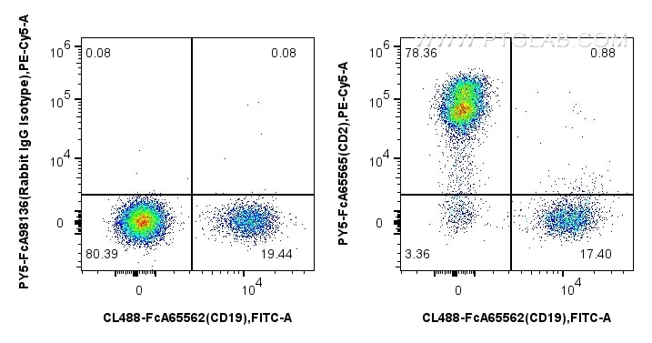 Flow cytometry (FC) experiment of human PBMCs using FcZero-rAb™ PE-Cyanine5 Anti-Human CD2 (TS1/8) Rab (PY5-FcA65565)