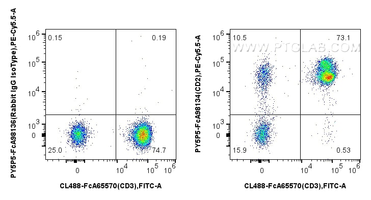 FC experiment of human PBMCs using PY5P5-FcA98134 Flow cytometry (FC) experiment of human PBMCs using FcZero-rAb™ PE-Cyanine5.5 Anti-Human CD2 Rabbit Re (PY5P5-FcA98134)