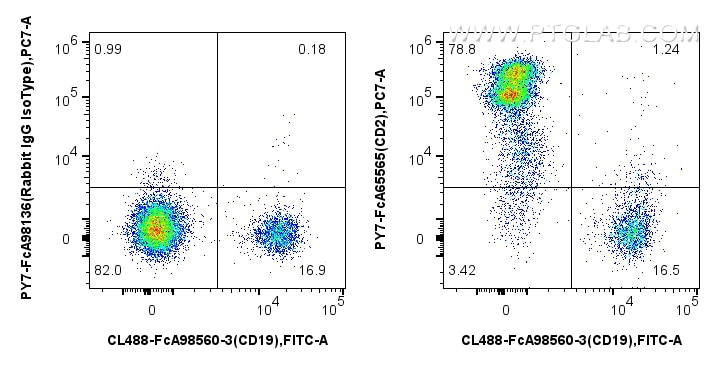 Flow cytometry (FC) experiment of human PBMCs using FcZero-rAb® PE-Cyanine7 Anti-Human CD2 (TS1/8) Rab (PY7-FcA65565)