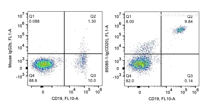 CD20