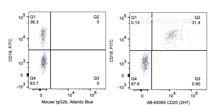 Flow cytometry (FC) experiment of human PBMCs using Atlantic Blue™ Anti-Human CD20 (2H7) (AB-65085)