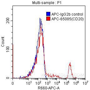 Flow cytometry (FC) experiment of human peripheral blood lymphocytes using APC Anti-Human CD20 (2H7) (APC-65085)
