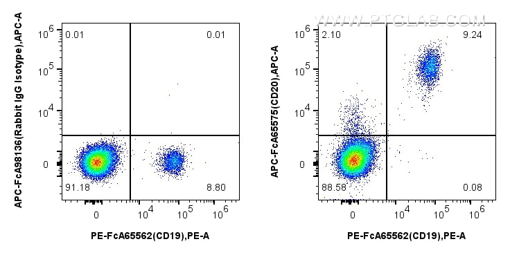 Flow cytometry (FC) experiment of human PBMCs using FcZero-rAb™ APC Anti-Human CD20 (2H7) Rabbit IgG R (APC-FcA65575)