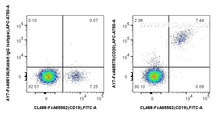 Flow cytometry (FC) experiment of human PBMCs using FcZero-rAb™ APC-Cyanine7 Anti-Human CD20 (2H7) Rab (AY7-FcA65575)