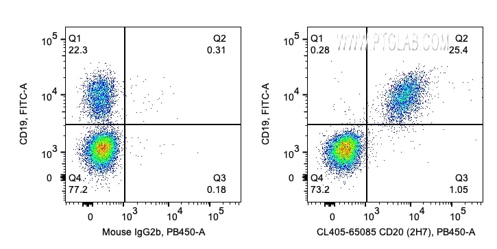 Flow cytometry (FC) experiment of human PBMCs using CoraLite® Plus 405 Anti-Human CD20 (2H7) (CL405-65085)