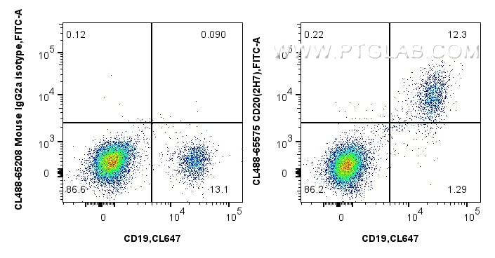 Flow cytometry (FC) experiment of human PBMCs using CoraLite® Plus 488 Anti-Human CD20 (2H7) Mouse IgG (CL488-65575)