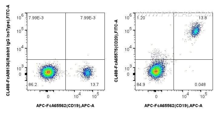 Flow cytometry (FC) experiment of human PBMCs using FcZero-rAb® CoraLite® Plus 488 Anti-Human CD20 (2H (CL488-FcA65575)