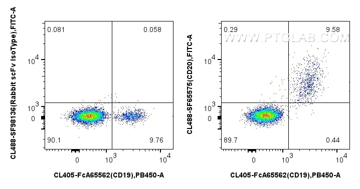 FC experiment of human PBMCs using CL488-SF65575 Flow cytometry (FC) experiment of human PBMCs using CoraLite® Plus 488 Anti-Human CD20 Mouse scFv Anti (CL488-SF65575)