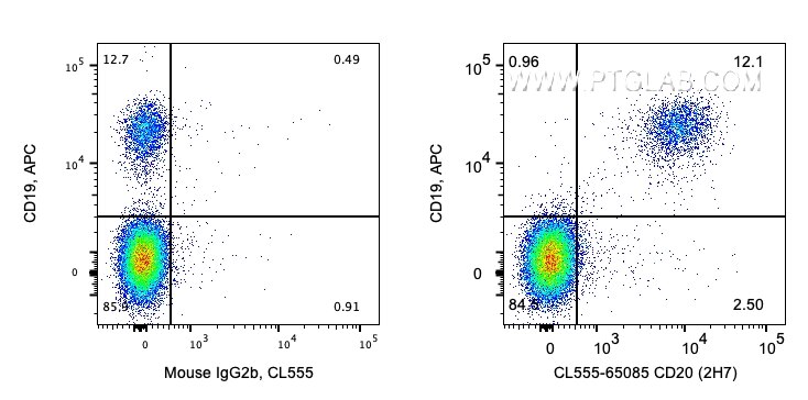 Flow cytometry (FC) experiment of human PBMCs using CoraLite® Plus 555 Anti-Human CD20 (2H7) (CL555-65085)