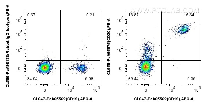 FC experiment of human PBMCs using CL555-FcA65575 Flow cytometry (FC) experiment of human PBMCs using FcZero-rAb® CoraLite® Plus 555 Anti-Human CD20 (2H (CL555-FcA65575)