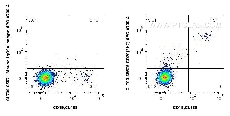 1x10^6 human PBMCs were surface stained with CoraLite® Plus 488 Anti-Human CD19, and 5 ul CoraLite®700 Anti-Human CD20 (2H7) Mouse IgG2a RecAb (CL700-65575, Clone: 2H7) or CoraLite® Plus 488 Anti-Human CD19 (4G7) Mouse IgG2a Recombinant Antibody (CL488-65562, Clone: 4G7). Cells were not fixed. Flow cytometry (FC) experiment of human PBMCs using CoraLite®700 Anti-Human CD20 (2H7) Mouse IgG2a Rec (CL700-65575)