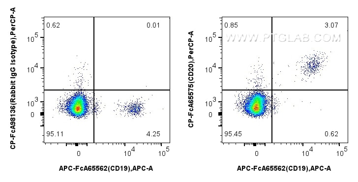 Flow cytometry (FC) experiment of human PBMCs using FcZero-rAb™ PerCP Anti-Human CD20 (2H7) Rabbit IgG (CP-FcA65575)